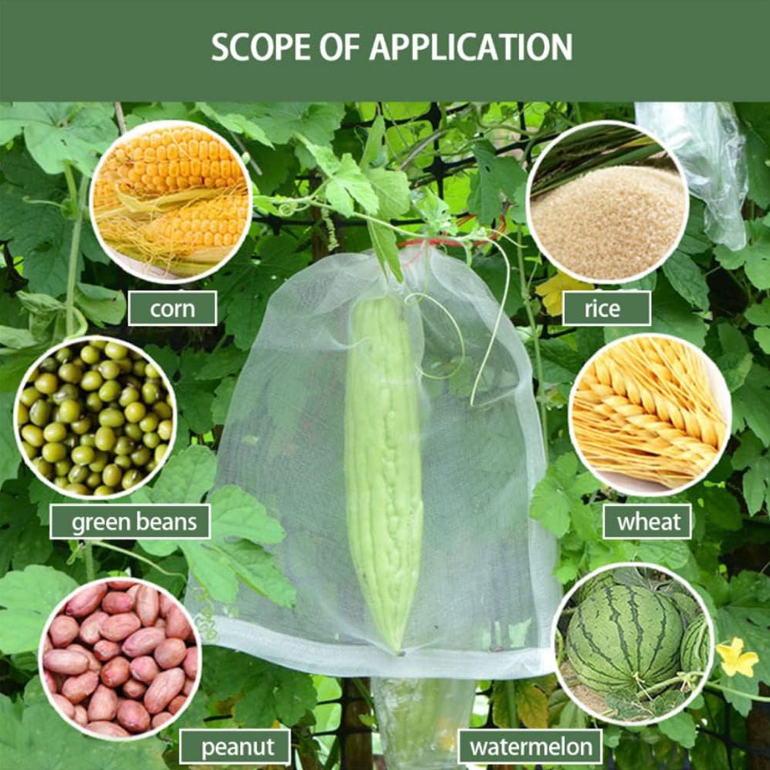 Protective Garden Barrier Cover for Bag, Plants, Grapes, Figs, Flowers, and Vegetables Protective Garden Barrier Cover for Bag, Plants, Grapes, Figs, Flowers, and Vegetables